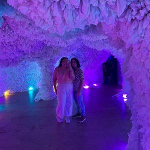 Meet your Posher, Ella